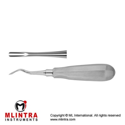 Luxator Root Elevator Straight Stainless Steel, Tip Size 4 mm